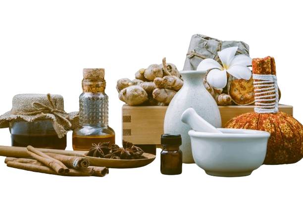 ayurvedic wellness centre