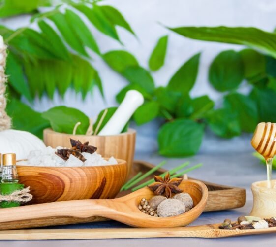 what iWhat is Ayurveda – traditional Indian holistic healing system explaineds ayurveda