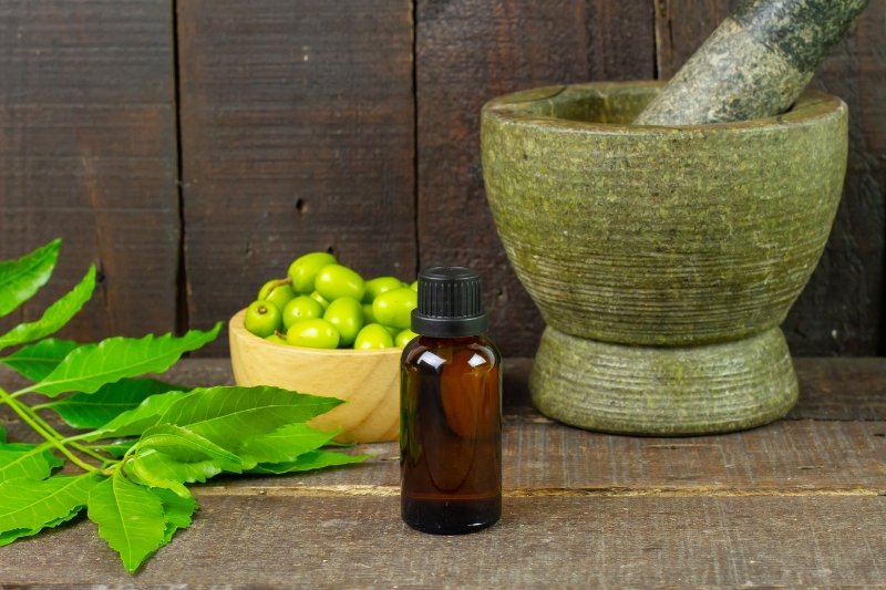 urticaria treatment in ayurveda