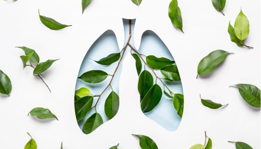 asthma ayurvedic treatment