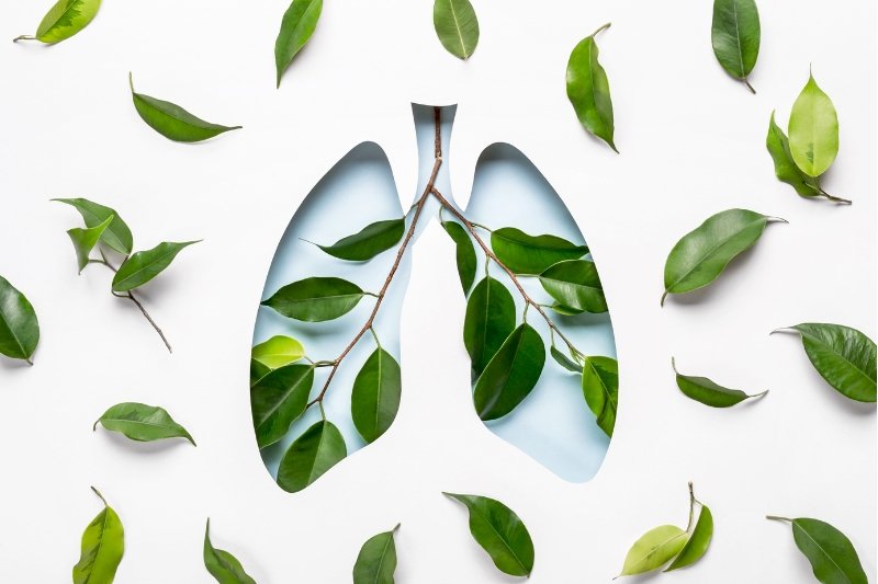 asthma ayurvedic treatment
